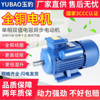 厂家定制2/4级马达电机0.75/1.1/1.5/3/4/全铜220V单相异步电动机图2