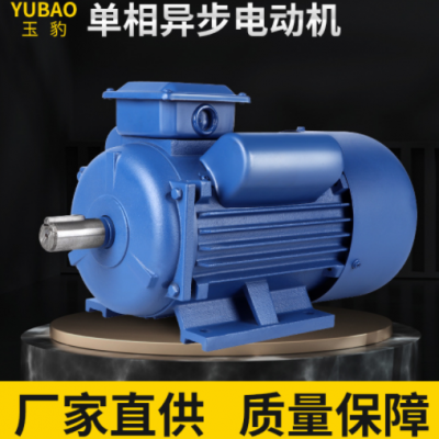 厂家定制2/4级马达电机0.75/1.1/1.5/3/4/全铜220V单相异步电动机图3