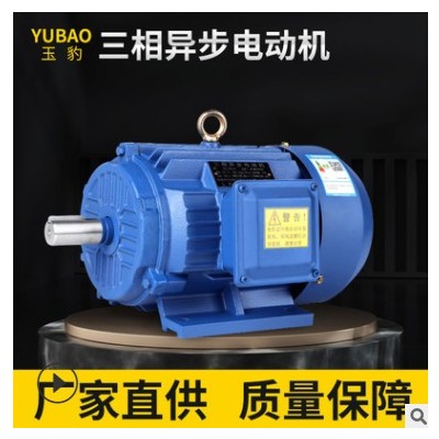 厂家定制2/4级马达电机0.75/1.1/1.5/3/4/全铜220V单相异步电动机