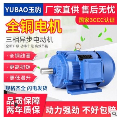 厂家定制2/4级马达电机0.75/1.1/1.5/3/4/全铜220V单相异步电动机图2