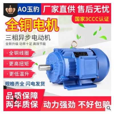 厂家定制马达电机0.75/1.1/1.5/3/4.5/5/7.5KW全铜三相异步电动机图2