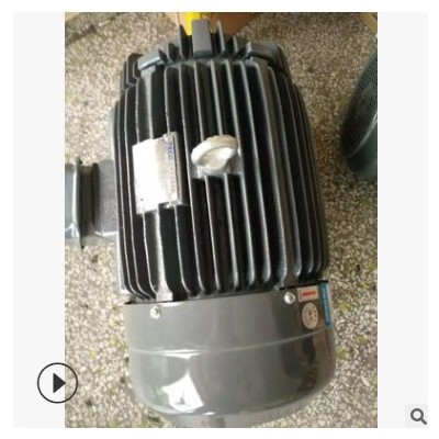 无锡东元电机TECO三相马达20HP 15KW 4P AEEF-FAC 卧式图3