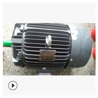 无锡东元电机TECO三相马达20HP 15KW 4P AEEF-FAC 卧式图2