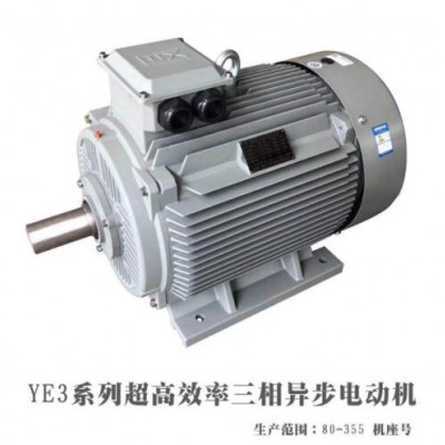 厂家直供18.5KW三相异步电动机YE2-200L1-6 18.5kw高效节能电机