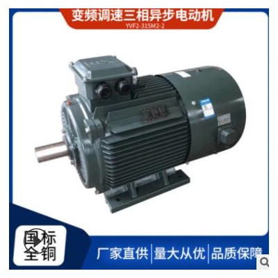 厂家直供三相异步电动机马达YVF2315M2-2 160KW高效电机全铜国标