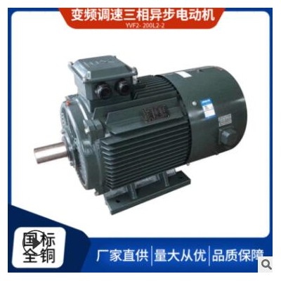 厂家直供三相异步电动机马达YVF2200L2-2 37KW高效电机全铜国标