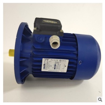 批发清华紫光电机750w 三相异步电动机图2