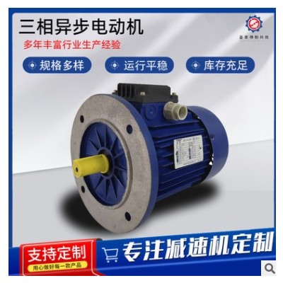批发清华紫光电机750w 三相异步电动机图3