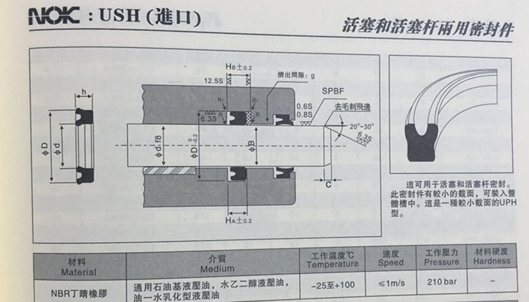 NOKUSH_副本