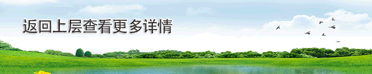 页底