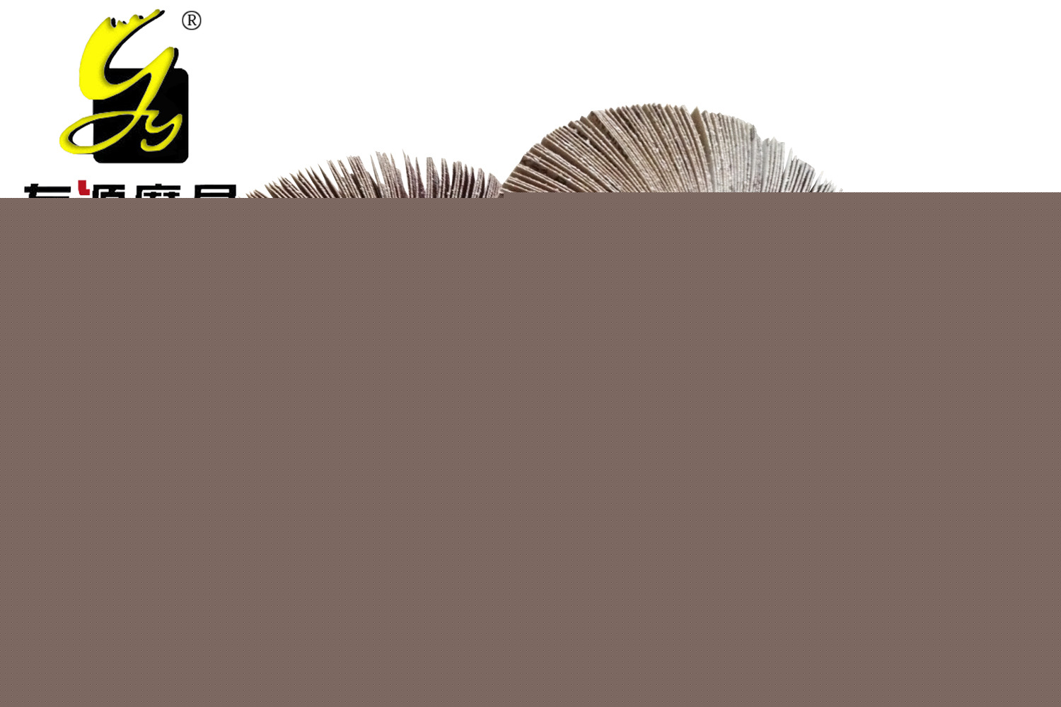丝轮3