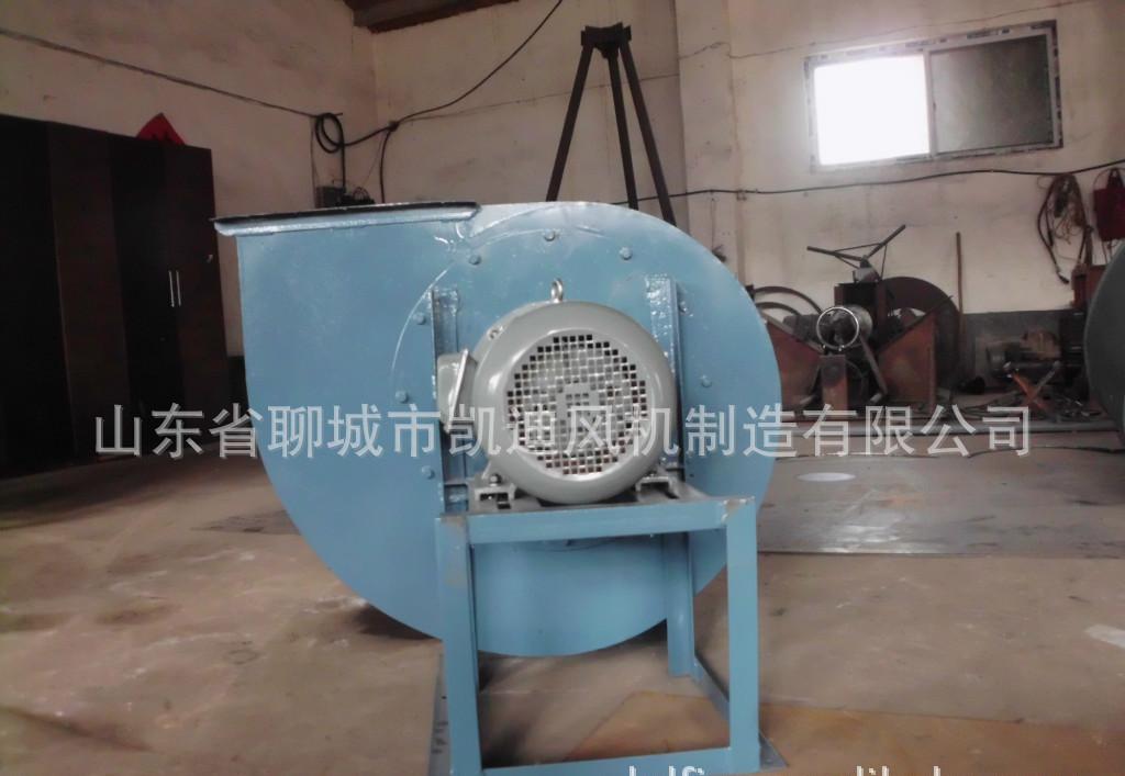 DSCI0159
