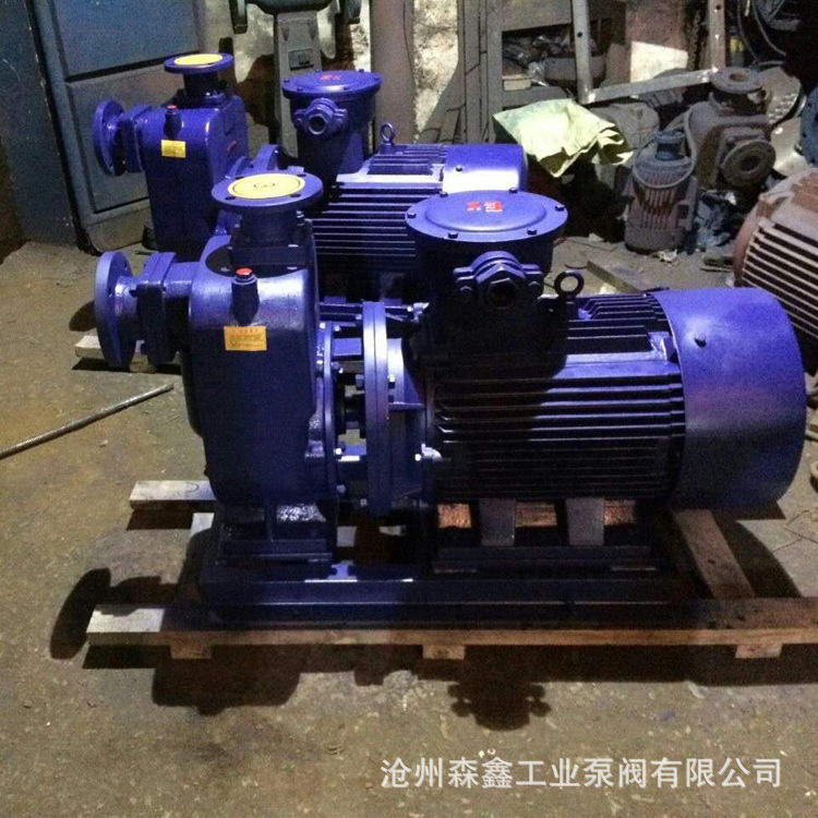 森鑫** CYZ-型自吸式离心油泵 铜叶轮输送汽柴油 防爆电动油泵 规格齐全示例图6
