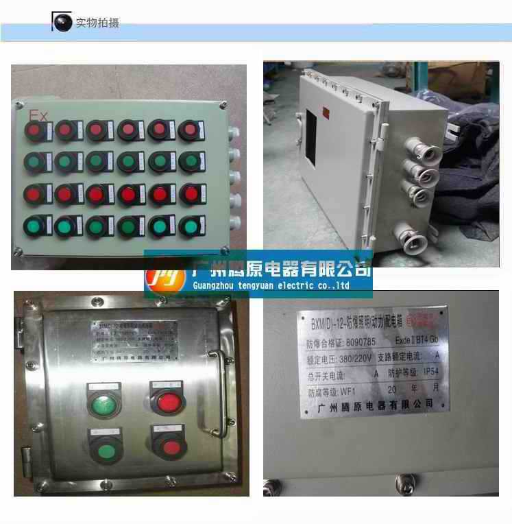 防爆箱实拍图6