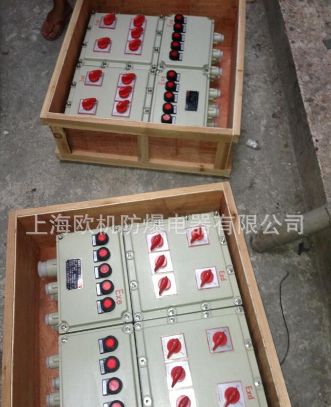 防爆照明配电箱6