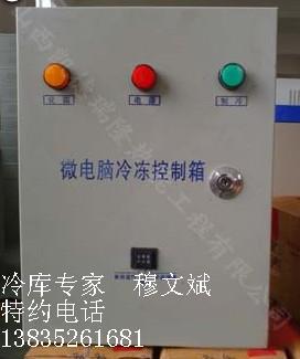 微电脑冷冻控制箱