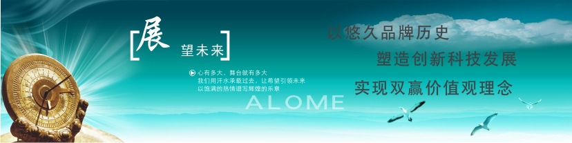 企业愿景