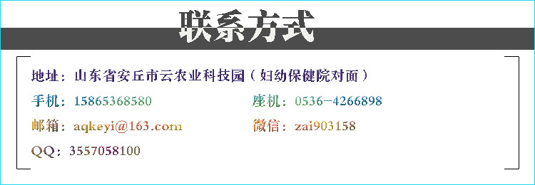 联系方式