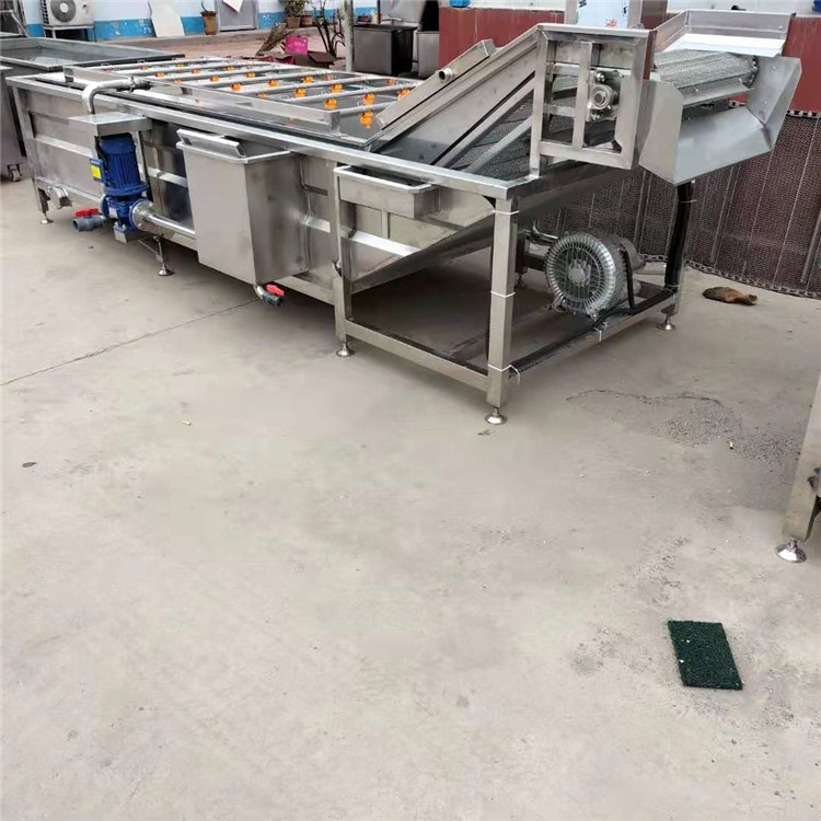 景翔牌 玉米加工清洗机 芸豆清洗机 香菇清洗加工设备