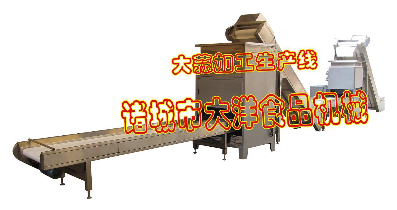 大蒜加工生产线
