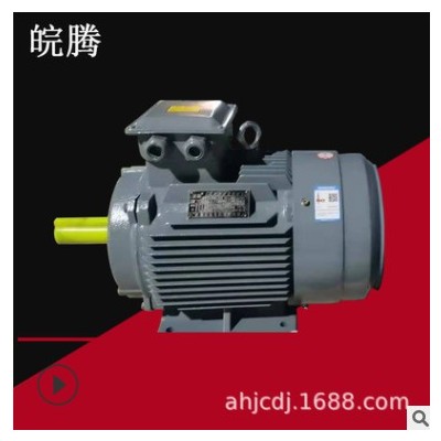 佳驰电机大功率200/220/250/280KW水泵真空泵皖腾三相异步电动机图2