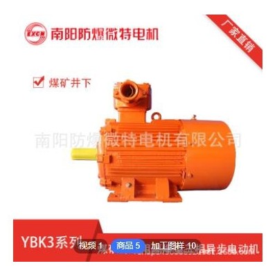南阳防爆 YBK3系列煤矿井下用隔爆型三相异步电动机 南阳防爆微特图3