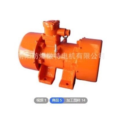 南阳防爆 YBZU系列振动源用隔爆型三相异步电动机 南阳防爆微特图2