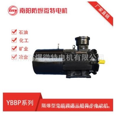 南阳防爆微特电机YBBP变频防爆电机调频电机5-100HZ三相异步电机图3
