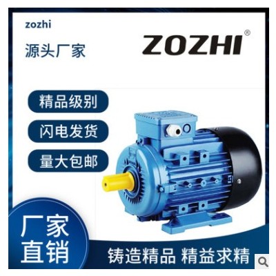 工厂直供三相异步电动机IE2 18.5KW2极全铜交流电动机图3