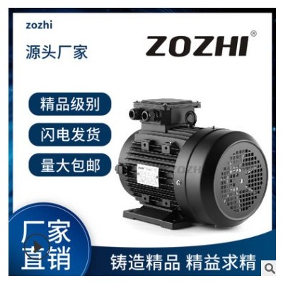 厂家直供1.5KW三相内轴电机2.2HP高压清洗机电机90机座HS-90L1-4图3