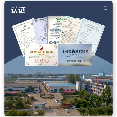 YZS三相380V振动电机震动筛脱水筛仓壁工业振打纯铜YZO/TZD/YZU图4