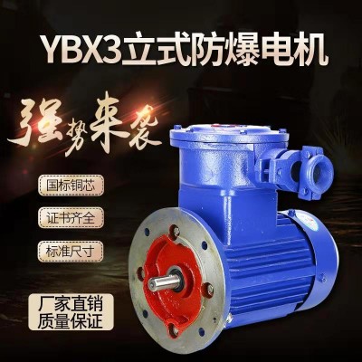 YB3立式防爆电机国标隔爆型三相380v铜线江苏新大力节能防爆马达图2