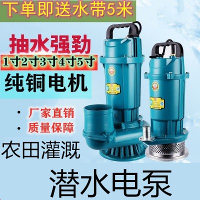 抽水电机水泵一寸污水泵深井潜水泵220v家用农业灌溉压水井抽水泵图2